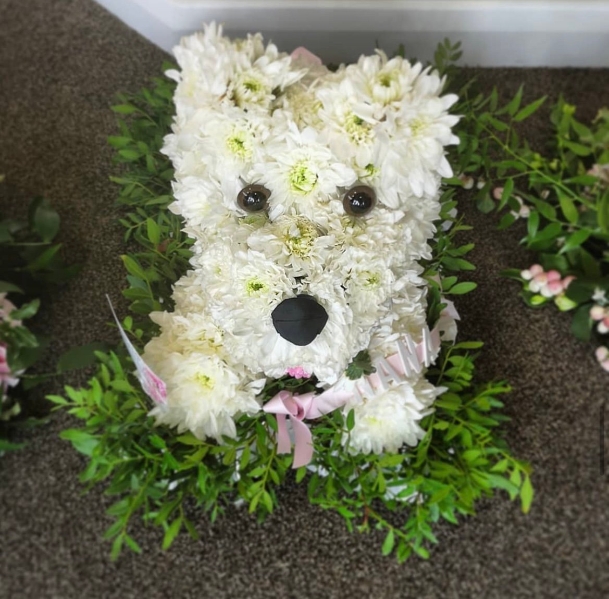 3D Dog