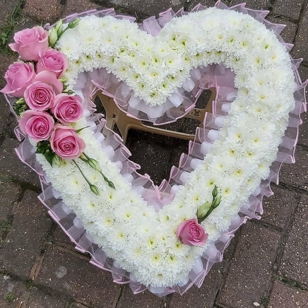 Chrysanthemum Open Heart