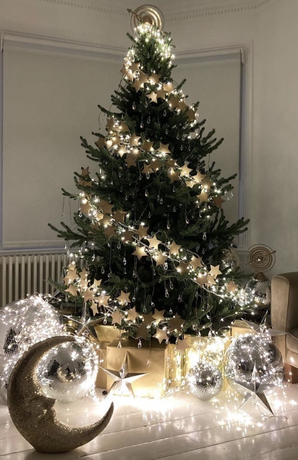 Nordmann Fir trees
