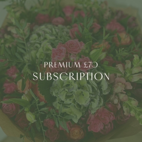 Premium Subscription