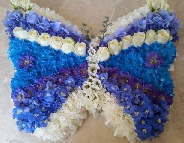 2D Butterfly
