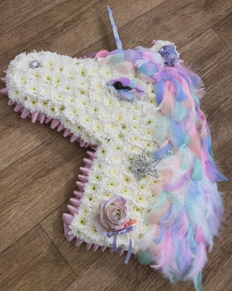 2D Unicorn