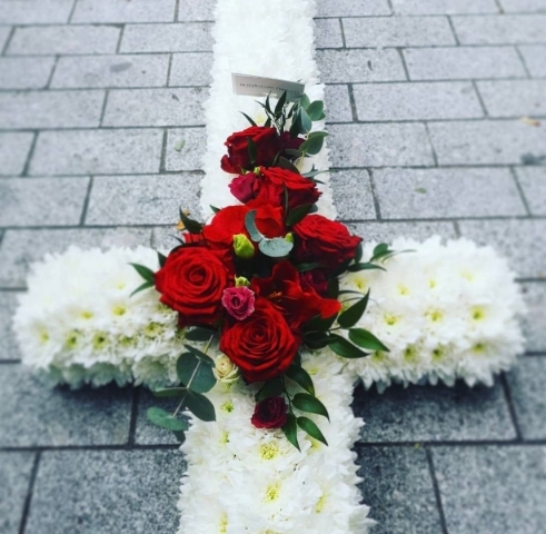 Chrysanthemum Based Crosses