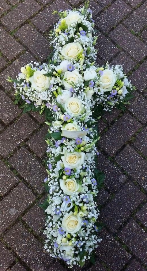 Mixed Based Crosses