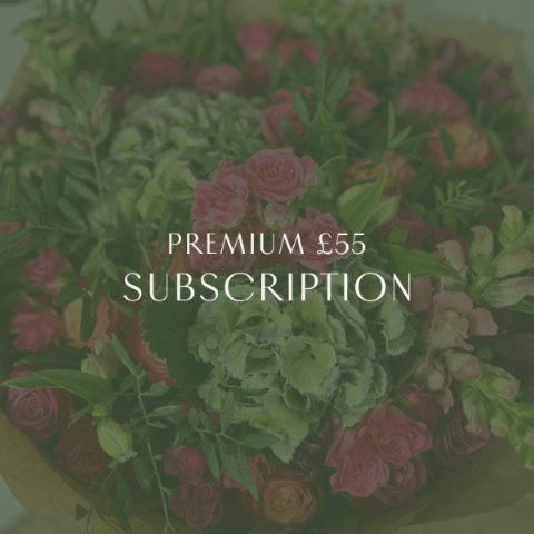Premium Subscription